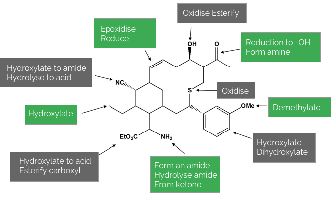 Biocatalysis